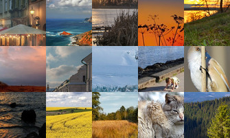 Картина дня