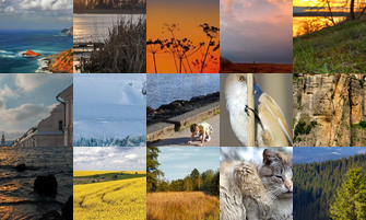 Картина дня