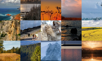 Картина дня