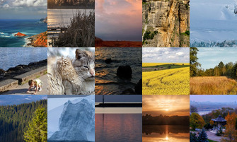 Картина дня