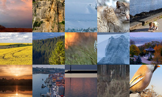 Картина дня