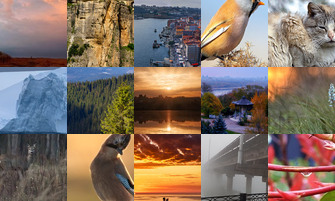 Картина дня