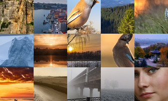 Картина дня