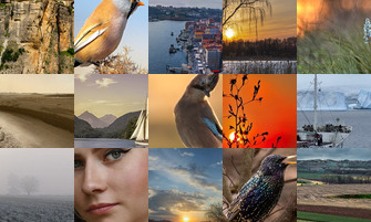 Картина дня