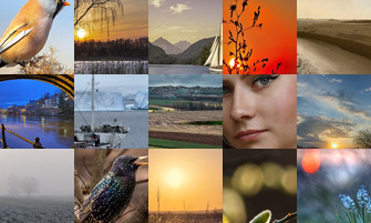 Картина дня