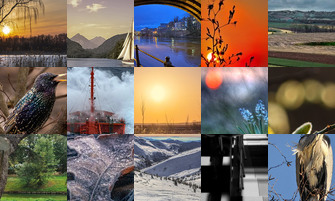 Картина дня