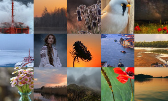 Картина дня