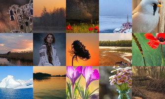 Картина дня