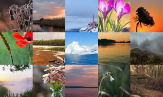 Картина дня