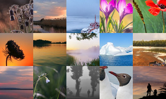 Картина дня