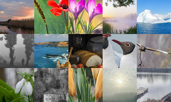 Картина дня