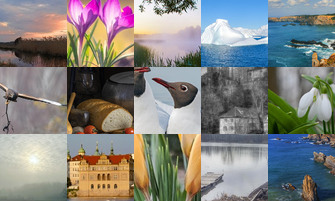 Картина дня