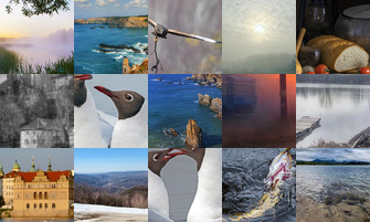 Картина дня