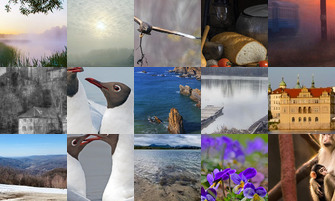 Картина дня