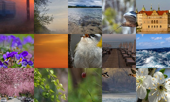 Картина дня