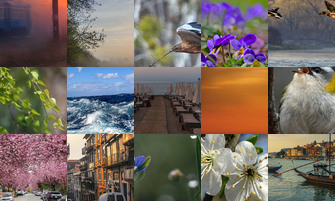 Картина дня