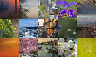 Картина дня