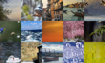 Картина дня