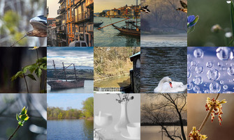 Картина дня