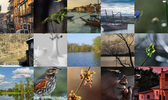 Картина дня