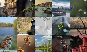 Картина дня