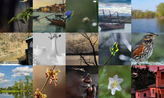 Картина дня