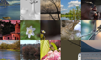 Картина дня