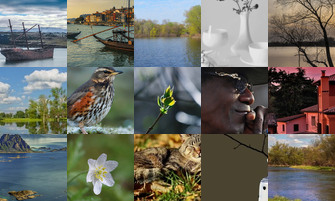 Картина дня