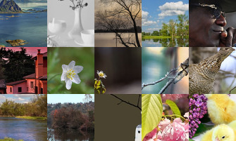 Картина дня