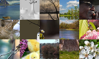 Картина дня