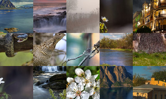 Картина дня