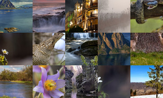 Картина дня