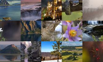 Картина дня