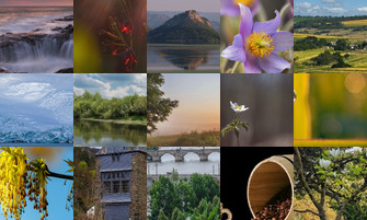 Картина дня