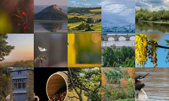 Картина дня