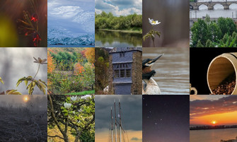 Картина дня