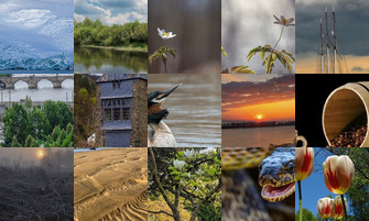 Картина дня