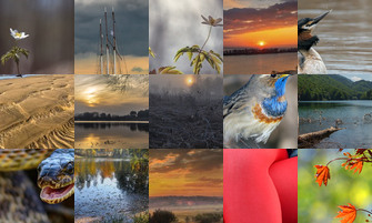 Картина дня