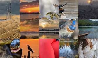 Картина дня