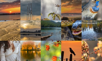 Картина дня