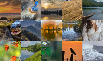 Картина дня