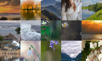 Картина дня