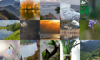 Картина дня