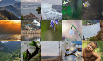 Картина дня