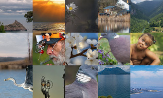 Картина дня