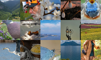 Картина дня