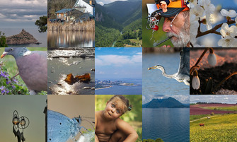 Картина дня