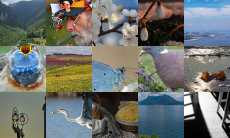 Картина дня