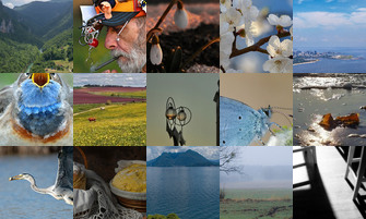 Картина дня