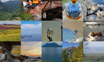 Картина дня